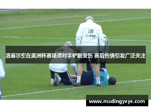 洛塞尔索在美洲杯赛场遭对手铲翻受伤 赛后伤情引发广泛关注