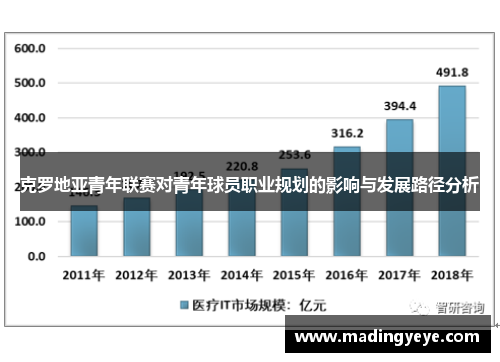 克罗地亚青年联赛对青年球员职业规划的影响与发展路径分析