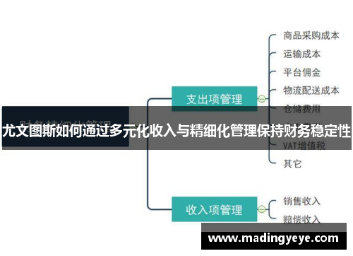 尤文图斯如何通过多元化收入与精细化管理保持财务稳定性
