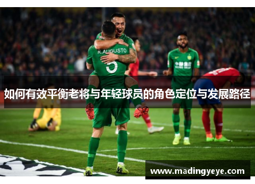 如何有效平衡老将与年轻球员的角色定位与发展路径