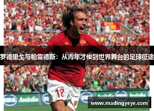 罗德里戈与帕雷德斯：从青年才俊到世界舞台的足球征途