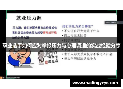 职业选手如何应对举报压力与心理调适的实战经验分享